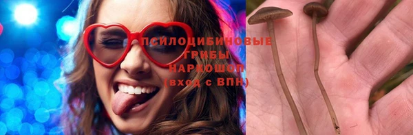ECSTASY Аркадак