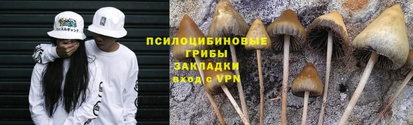 mix Арсеньев